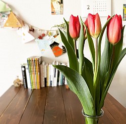 旬のお花をお楽しみください